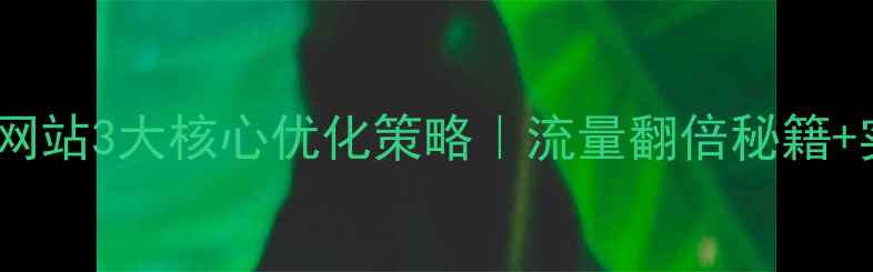 图片 河池企业网站3大核心优化策略｜流量翻倍秘籍+实操案例2