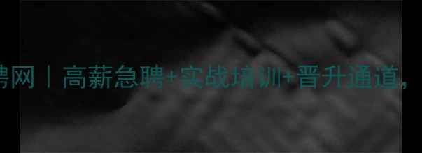 图片 泾源智能网站优化招聘网｜高薪急聘+实战培训+晋升通道，助力企业数字化转型1