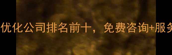 图片 海宁网站优化公司排名前十，免费咨询+服务案例全1