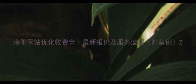 图片 海阳网站优化收费全｜最新报价及服务流程（附案例）2