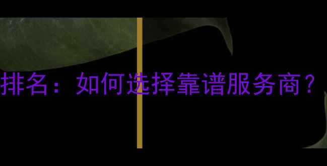 图片 淄博SEO公司排名：如何选择靠谱服务商？附避坑指南1