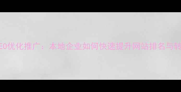 图片 温州SEO优化推广：本地企业如何快速提升网站排名与转化率1