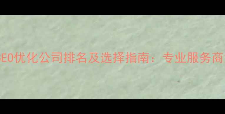图片 湖北SEO优化公司排名及选择指南：专业服务商深度2