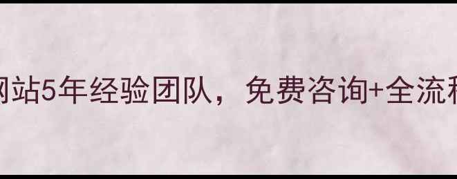 图片 湖南建站必看！岚鸿网站5年经验团队，免费咨询+全流程干货指南（附案例）