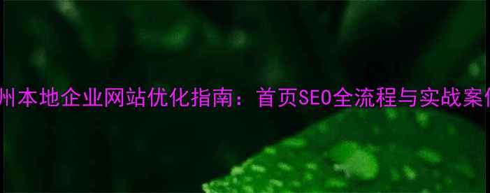 图片 滁州本地企业网站优化指南：首页SEO全流程与实战案例1