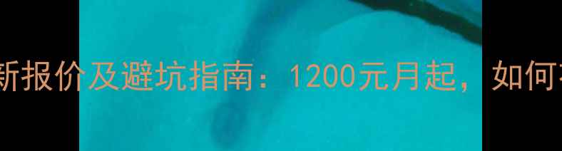 图片 漯河营销网站优化最新报价及避坑指南：1200元月起，如何花小钱撬动大流量？1