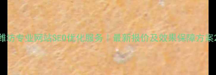 图片 潍坊专业网站SEO优化服务｜最新报价及效果保障方案2