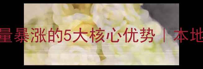 图片 潍坊网站优化流量暴涨的5大核心优势｜本地排名提升指南🔥