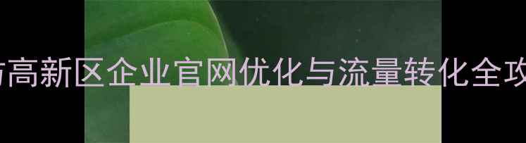 图片 潍坊高新区企业官网优化与流量转化全攻略2