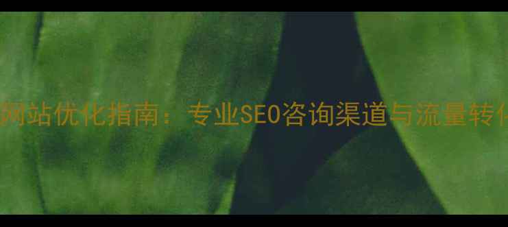 图片 璧山企业网站优化指南：专业SEO咨询渠道与流量转化全攻略2