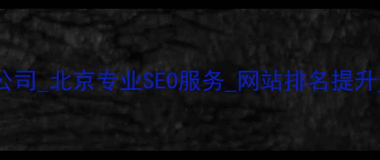 图片 电脑网站优化公司_北京专业SEO服务_网站排名提升_流量转化方案