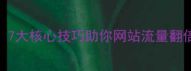 图片 百度SEO优化必看：7大核心技巧助你网站流量翻倍（附实操指南）1