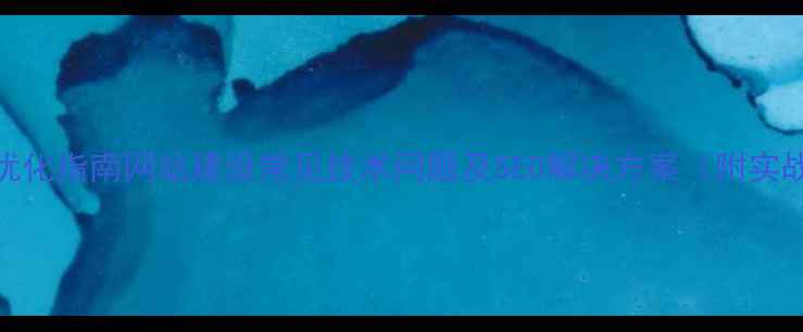 图片 百度SEO优化指南网站建设常见技术问题及SEO解决方案（附实战案例）2