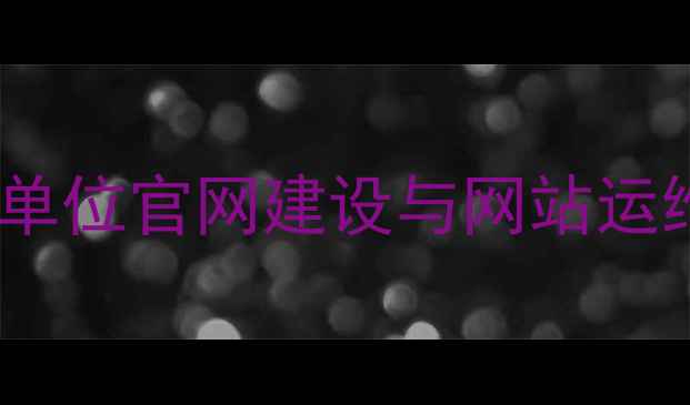 图片 百度SEO优化指南：单位官网建设与网站运维管理的全流程指南