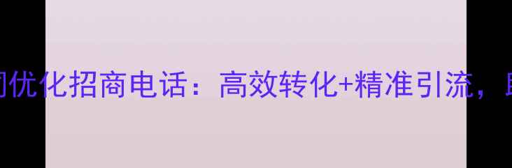 图片 百度SEO优化网站关键词优化招商电话：高效转化+精准引流，助您抢占行业流量红利1