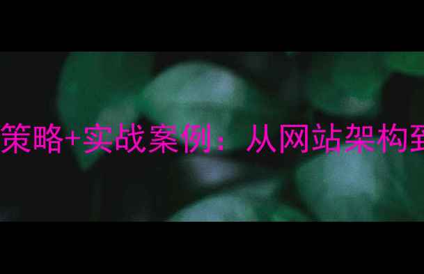 图片 百度SEO实战指南5大核心策略+实战案例：从网站架构到流量转化的全流程优化2