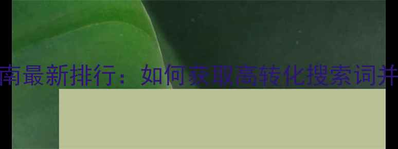 图片 百度SEO实战指南最新排行：如何获取高转化搜索词并优化网站排名1