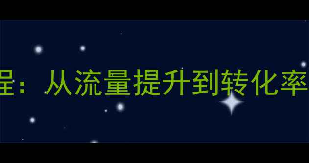 图片 百度SEO实战指南网站优化全流程：从流量提升到转化率增长（北京杏坛SEO团队原创）2