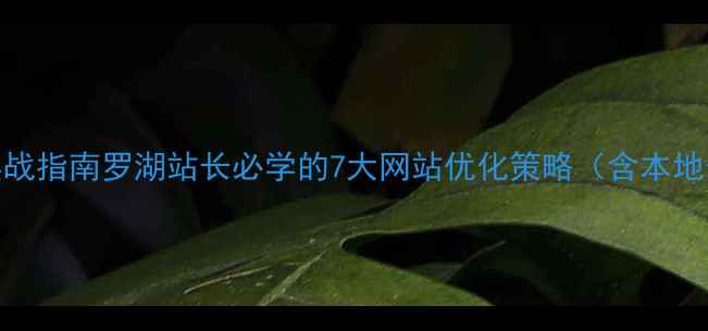 图片 百度SEO实战指南罗湖站长必学的7大网站优化策略（含本地化案例）1