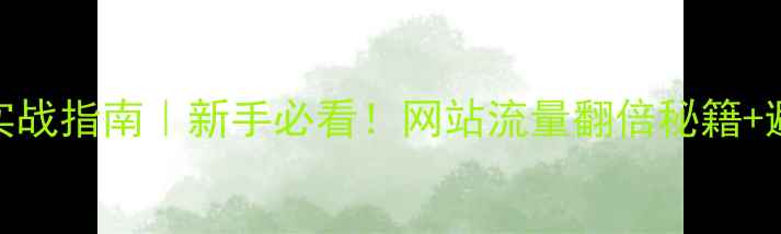 图片 百度SEO实战指南｜新手必看！网站流量翻倍秘籍+避坑指南2