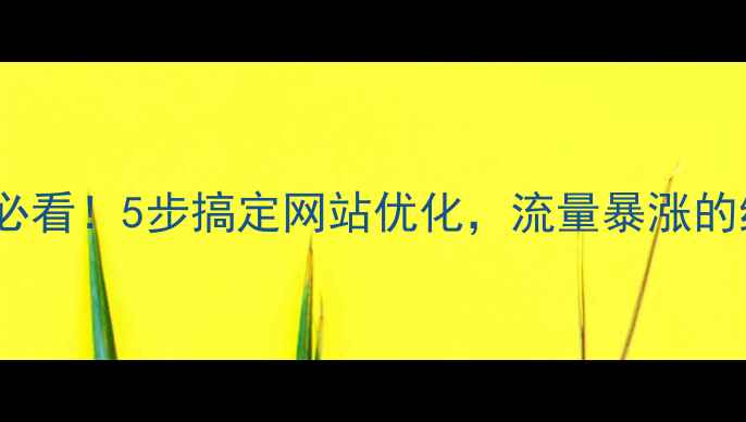 图片 百度SEO必看！5步搞定网站优化，流量暴涨的终极指南
