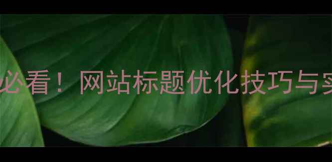 图片 百度SEO必看！网站标题优化技巧与实战指南