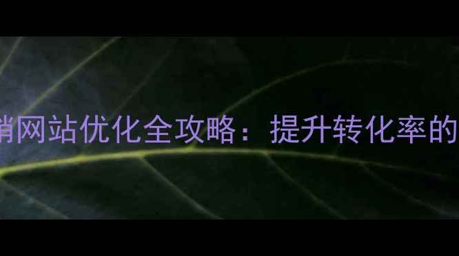 图片 百度SEO营销网站优化全攻略：提升转化率的核心方法论