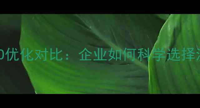 图片 百度竞价与SEO优化对比：企业如何科学选择流量获取策略1