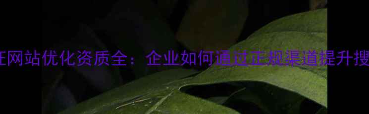 图片 百度认证网站优化资质全：企业如何通过正规渠道提升搜索排名2