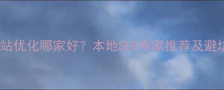 图片 确山网站优化哪家好？本地SEO专家推荐及避坑指南2