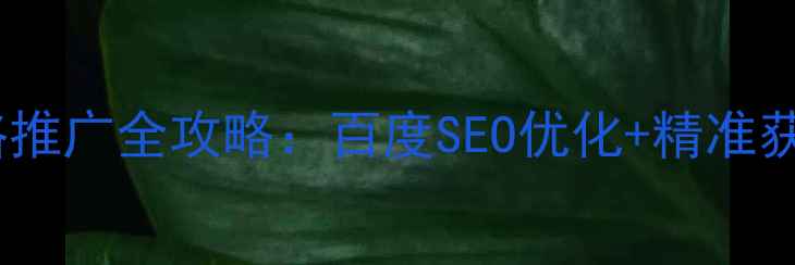 图片 管件行业网络推广全攻略：百度SEO优化+精准获客实战指南2