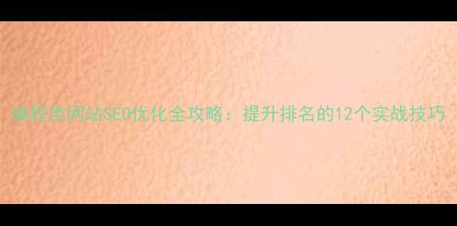 图片 编程类网站SEO优化全攻略：提升排名的12个实战技巧