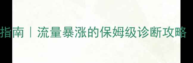图片 网站SEO优化避坑指南｜流量暴涨的保姆级诊断攻略（附工具+案例）1