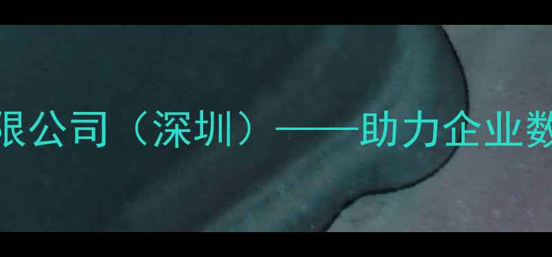 图片 网站优化专家盛创网络科技有限公司（深圳）——助力企业数字化转型，提升搜索引擎排名