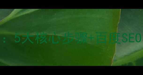 图片 网站优化全流程指南：5大核心步骤+百度SEO实战技巧（附案例）