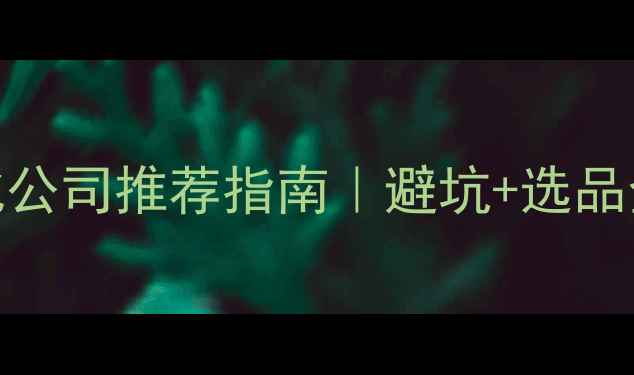 图片 网站优化公司推荐指南｜避坑+选品全攻略🔥