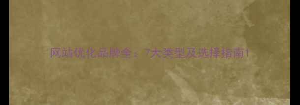 图片 网站优化品牌全：7大类型及选择指南1