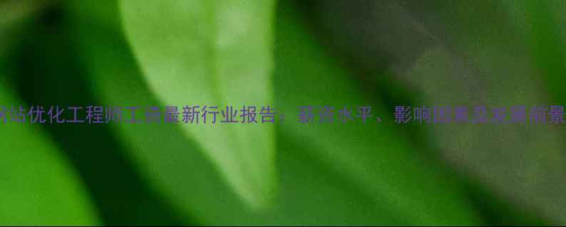 图片 网站优化工程师工资最新行业报告：薪资水平、影响因素及发展前景1