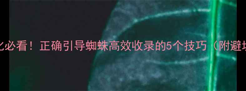 图片 网站优化必看！正确引导蜘蛛高效收录的5个技巧（附避坑指南）