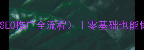 图片 网站优化报价表（附SEO推广全流程）｜零基础也能做排名，附避坑指南2