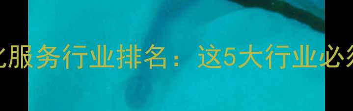 图片 网站优化服务行业排名：这5大行业必须布局！