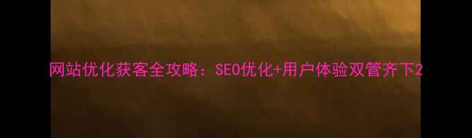 图片 网站优化获客全攻略：SEO优化+用户体验双管齐下2