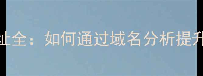 图片 网站域名查询地址全：如何通过域名分析提升百度SEO排名？1