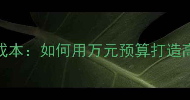 图片 网站建设成本：如何用万元预算打造高转化官网