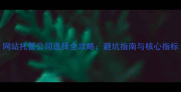 图片 网站托管公司选择全攻略：避坑指南与核心指标