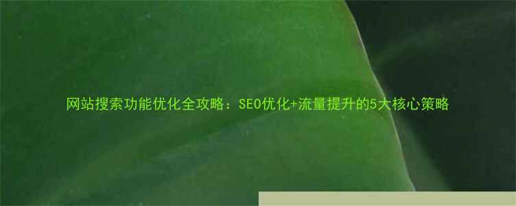 图片 网站搜索功能优化全攻略：SEO优化+流量提升的5大核心策略