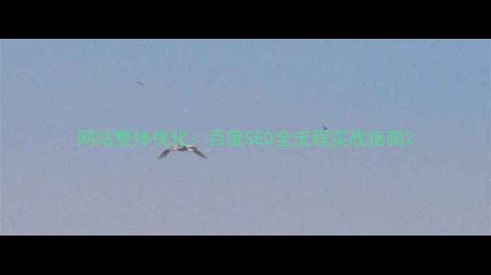 图片 网站整体优化：百度SEO全流程实战指南2