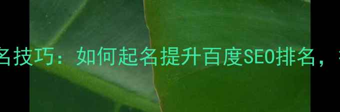 图片 网页设计工作室取名技巧：如何起名提升百度SEO排名，打造行业权威品牌1