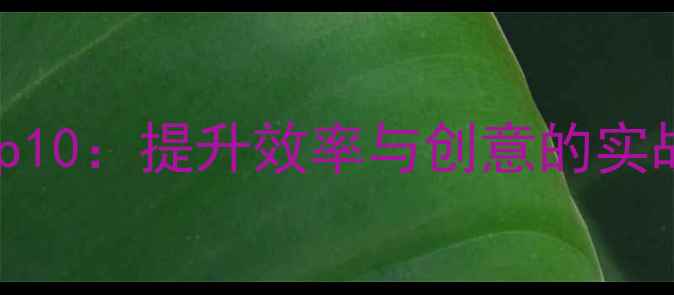 图片 网页设计师必备工具Top10：提升效率与创意的实战指南（附免费资源）1