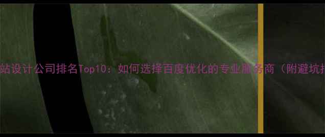 图片 职业网站设计公司排名Top10：如何选择百度优化的专业服务商（附避坑指南）1